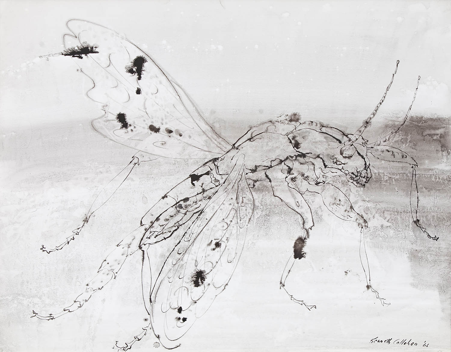 Kenneth Callahan (American, 1905-1986), Dragonfly, 1966, ink on paper, 22" x 28", Collection of the Hallie Ford Museum of Art