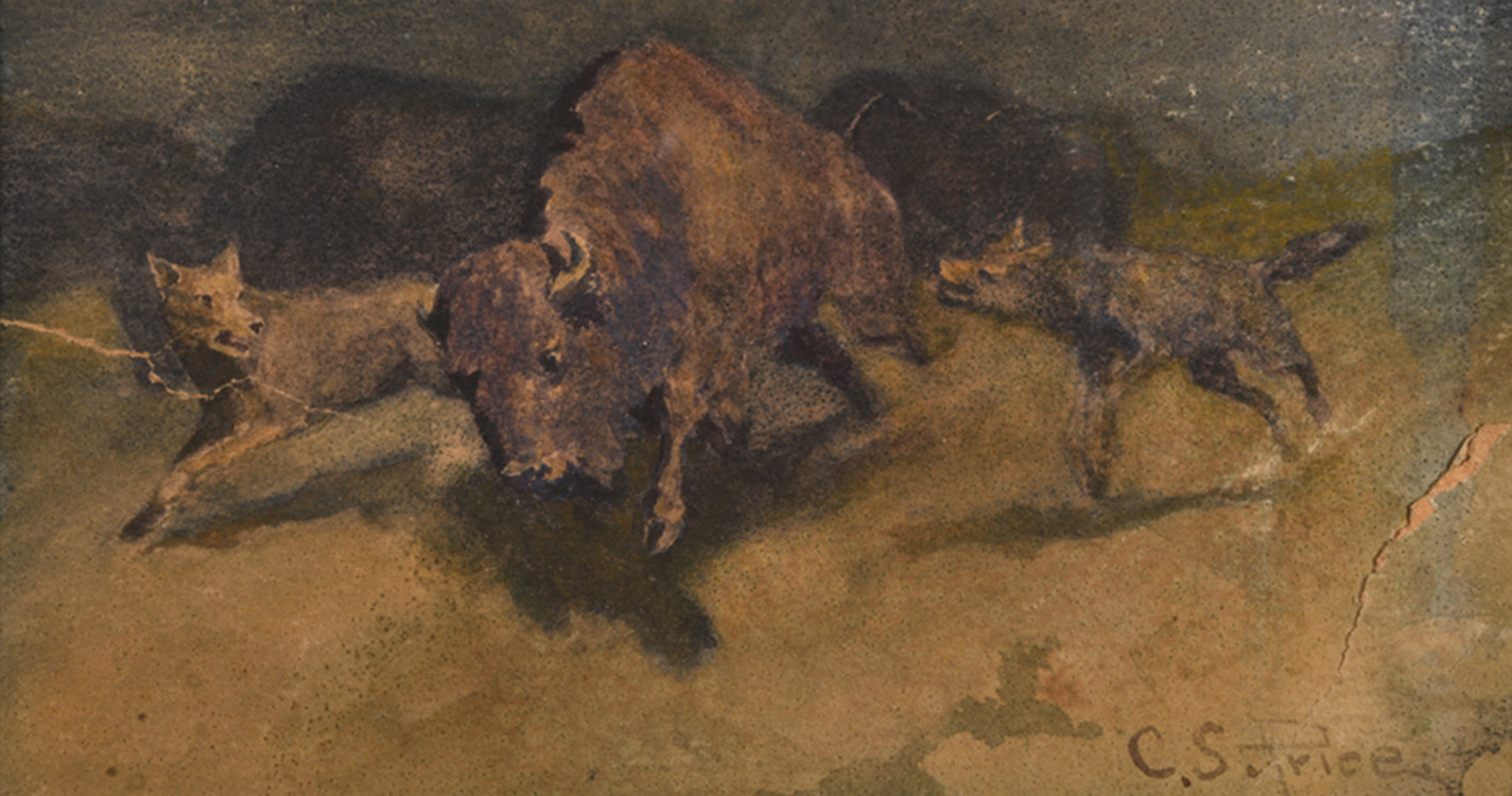 C.S. Price - Untitled Coyotes Chasing Buffalo